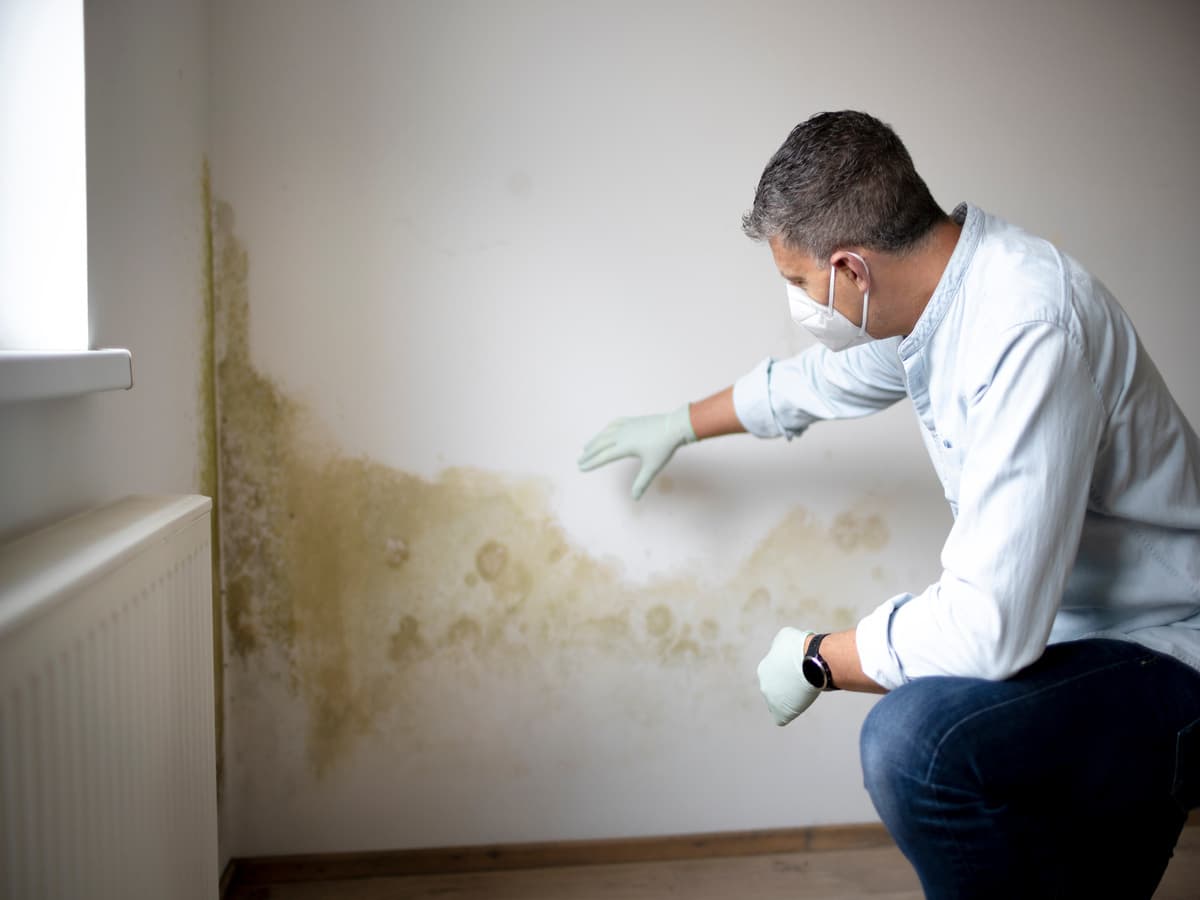 Schimmel an der Wand – gesundheitliche Risiken und dauerhafte Lösungen