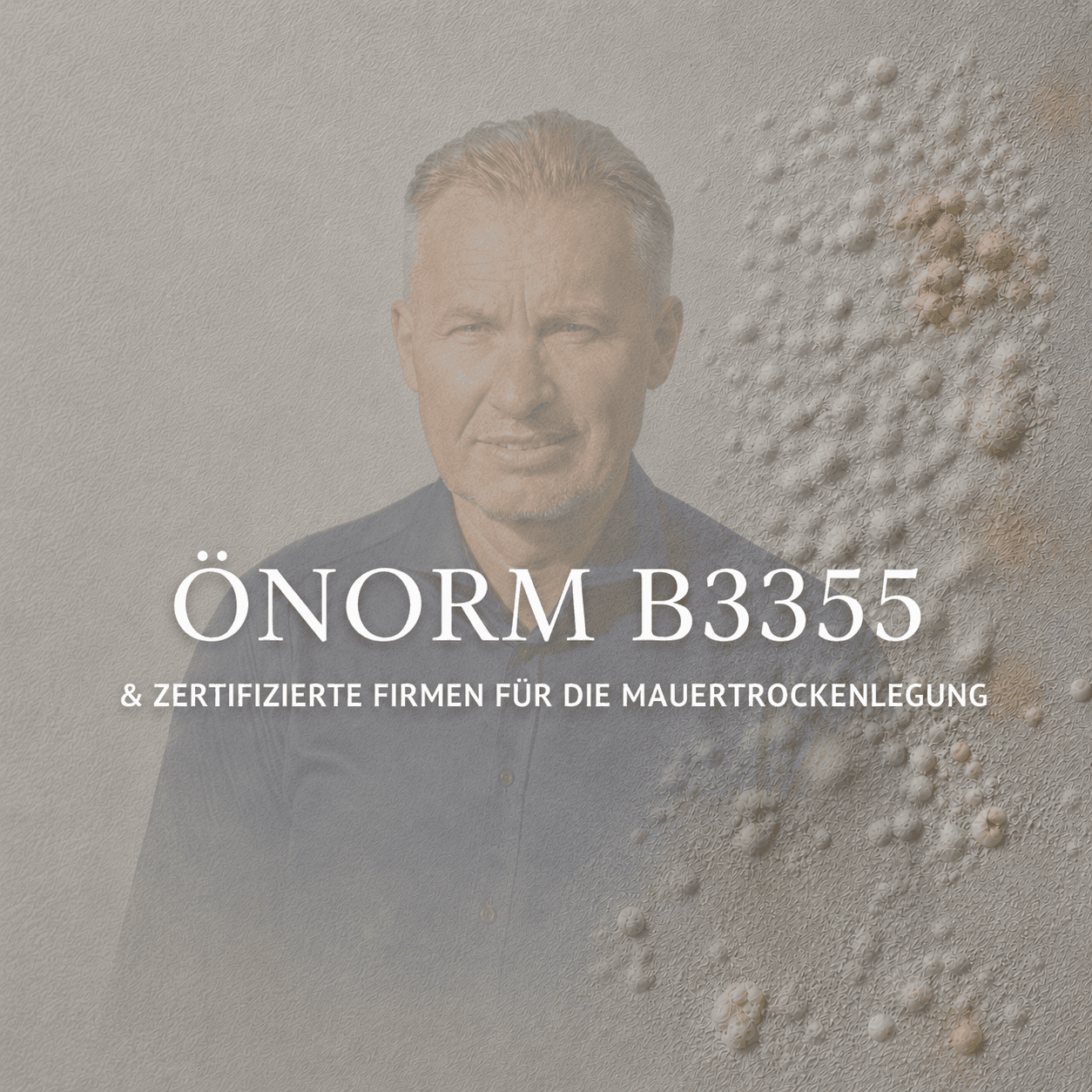 ÖNORM B3355